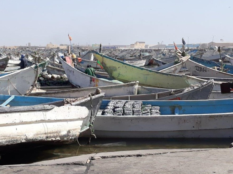 Sustainable fisheries: artisanal fisheries port in Nouadhibou