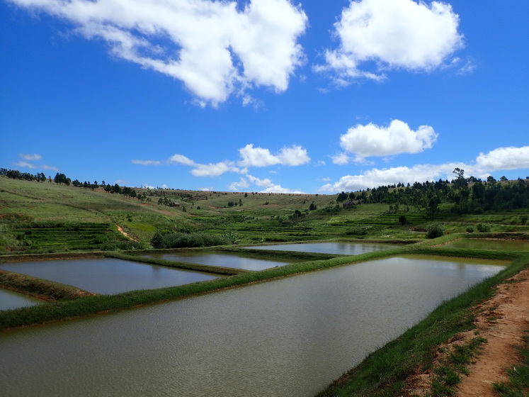 Aquaculture ponds in Madagascar